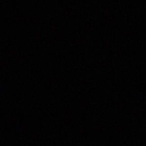 Meet your Posher, Shelby